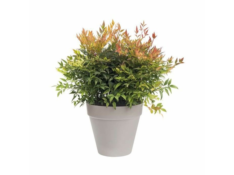 Саксия Elho Loft Urban Сив Кръгъл Ø 50 cm NaN –  BB Саксии