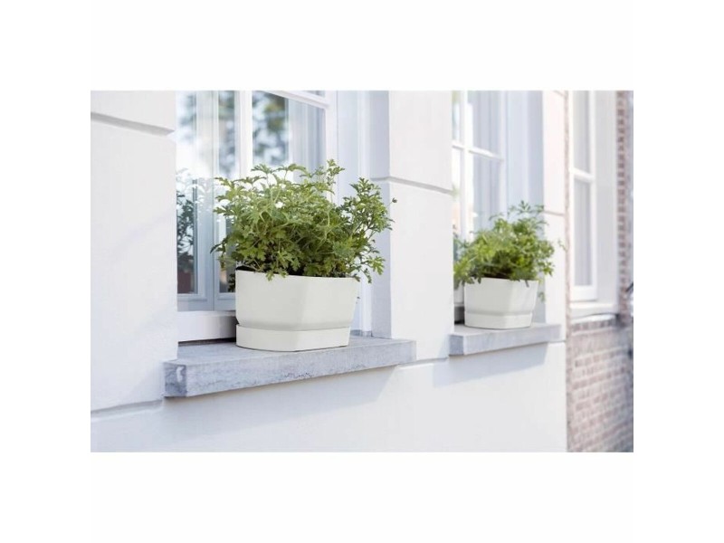 Саксия Elho   Бял 70 cm Пластмаса NaN –  BB Саксии за прозорци