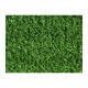 Изкуствена трева Faura  f42962 Зелен 7 mm 2 x 5 m NaN –  BB Трева