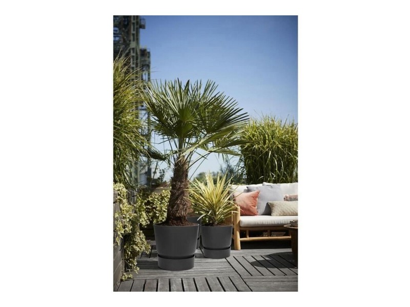 Саксия Elho Greenville Черен Пластмаса Кръгъл Ø 40 cm Ø 39 x 36,8 cm NaN –  BB Саксии