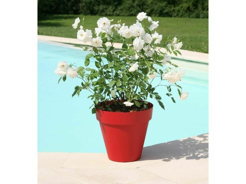 Саксия Riviera Soleilla 60 x 54 cm Червен Интензивен Кръгъл Ø 60 x 53,6 cm NaN –  BB Саксии