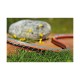 Маркуч Gardena 18045-26 Ø 15 mm (25 m) NaN –  BB Градински маркучи