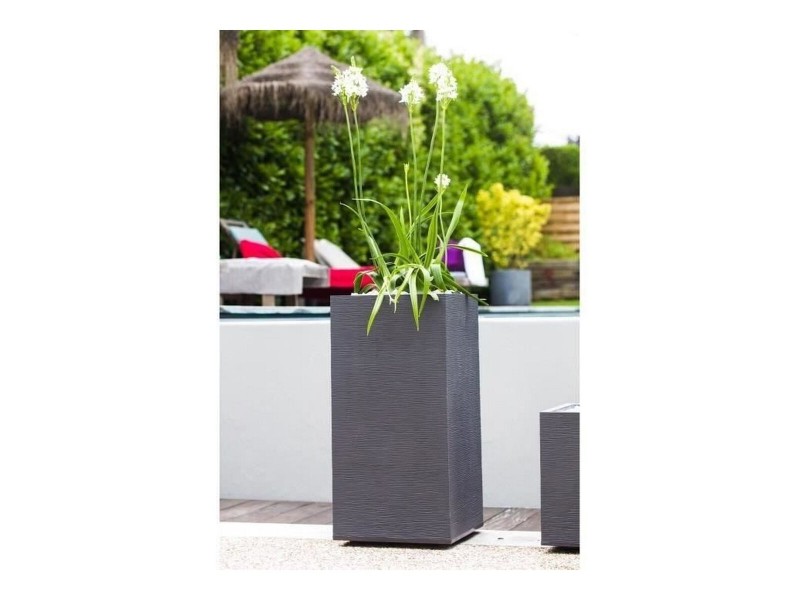 Саксия EDA Graphit Сив Тъмно сив Пластмаса Квадратек 39,5 x 39,5 x 80 cm NaN –  BB Саксии