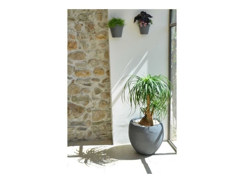 Саксия EDA Graphit Кръгъл Пластмаса Тъмно сив (Ø 50 x 45 cm) NaN –  BB Саксии