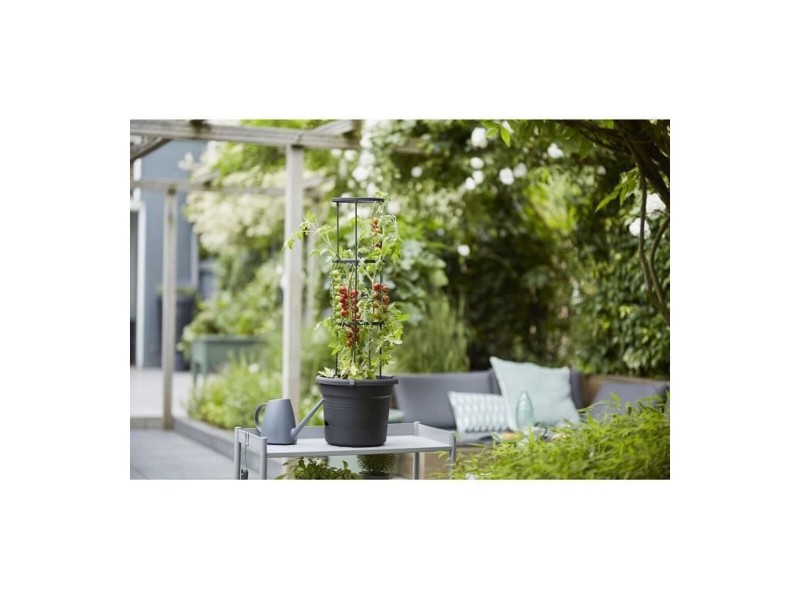 Саксия Elho Basics Tomato Черен (Ø 33 cm) NaN –  BB Саксии