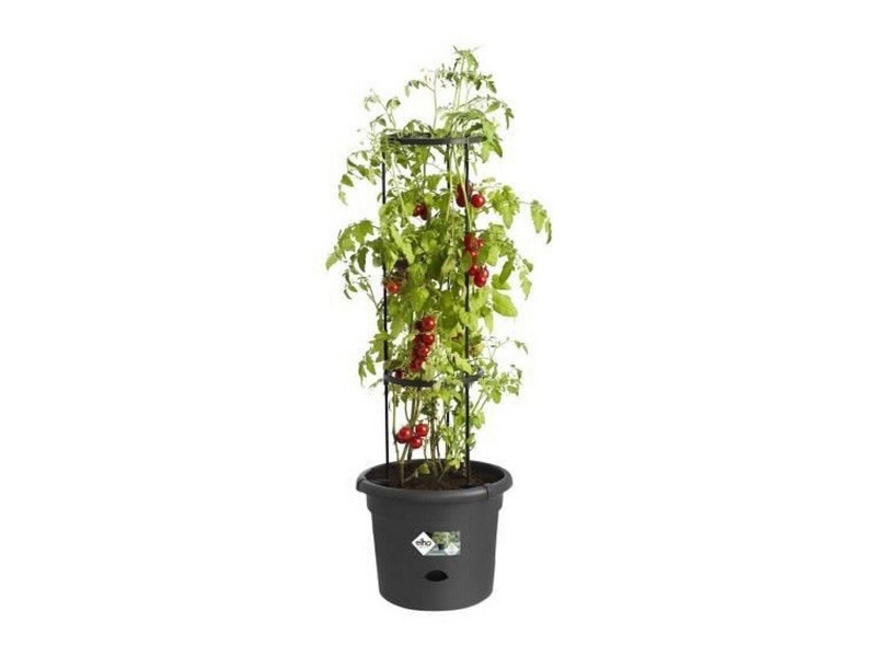 Саксия Elho Basics Tomato Черен (Ø 33 cm) NaN –  BB Саксии