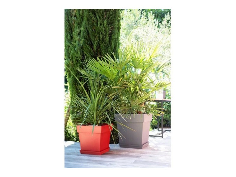 Саксия EDA Tuscan Тъмнокафяв Пластмаса Квадратек Ø 50 cm (49,5 x 49,5 x 52,5 cm) NaN –  BB Саксии