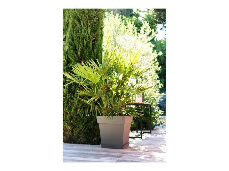 Саксия EDA Tuscan Тъмнокафяв Пластмаса Квадратек Ø 50 cm (49,5 x 49,5 x 52,5 cm) NaN –  BB Саксии