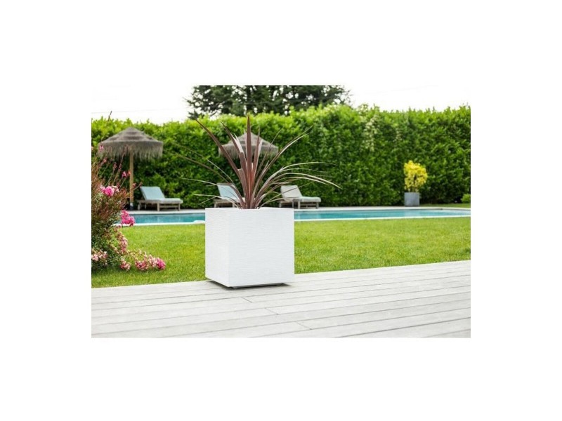 Саксия EDA Graphit Бял Пластмаса Квадратек 39 x 39 x 43 cm NaN –  BB Саксии