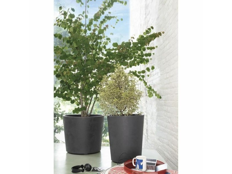 Саксия Deroma Millennium Антрацит Пластмаса 59 x 59 x 49,5 cm NaN –  BB Саксии