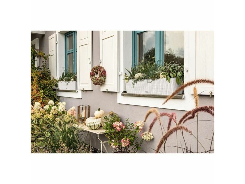 Саксия Lechuza NaN –  BB Саксии