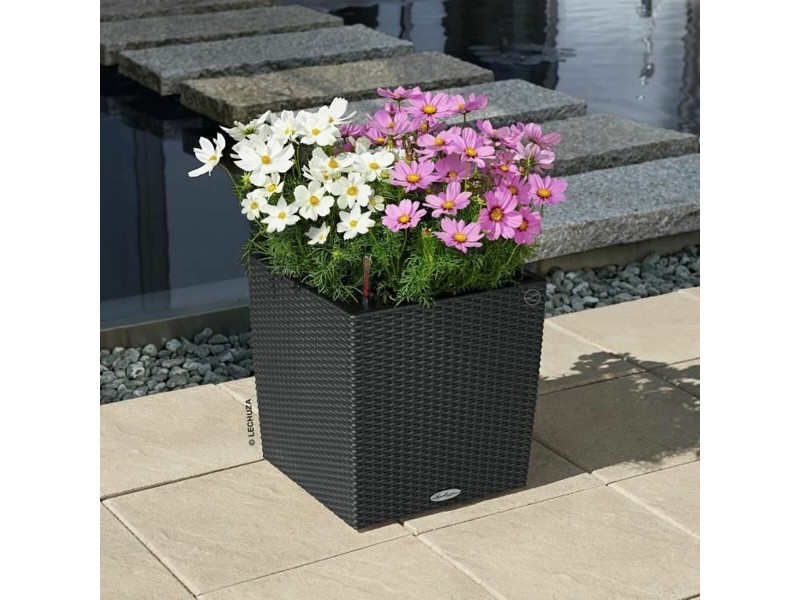 Саксия Lechuza Черен Сив полипропилен NaN –  BB Саксии