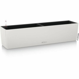 Саксия Lechuza