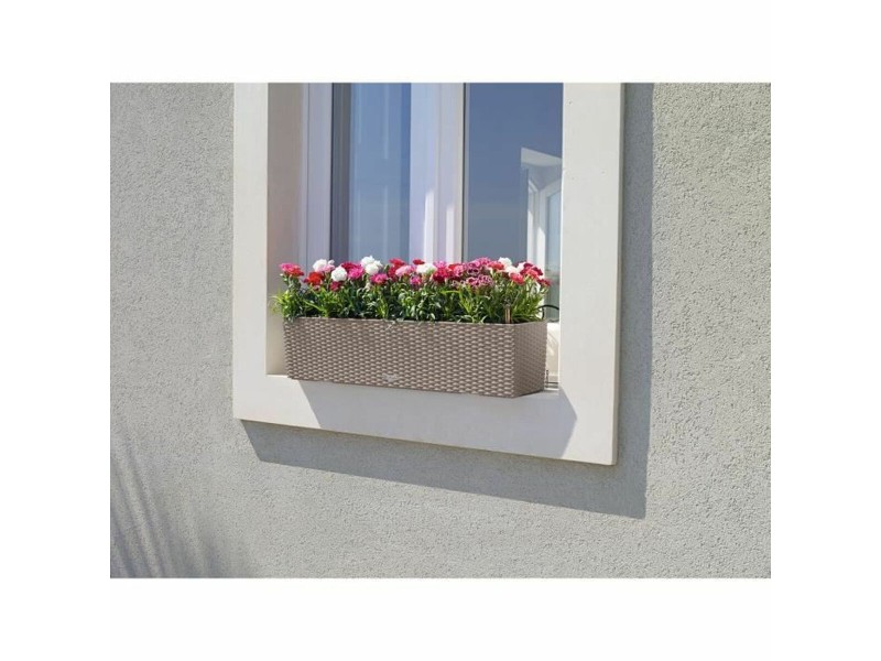 Саксия Lechuza NaN –  BB Саксии