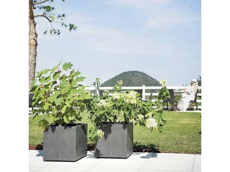 Саксия Deroma NaN –  BB Саксии