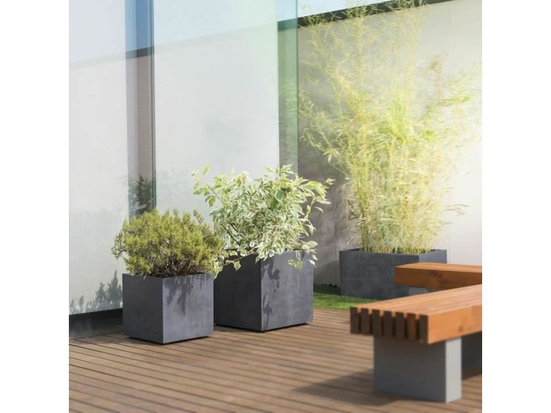 Саксия Deroma NaN –  BB Саксии