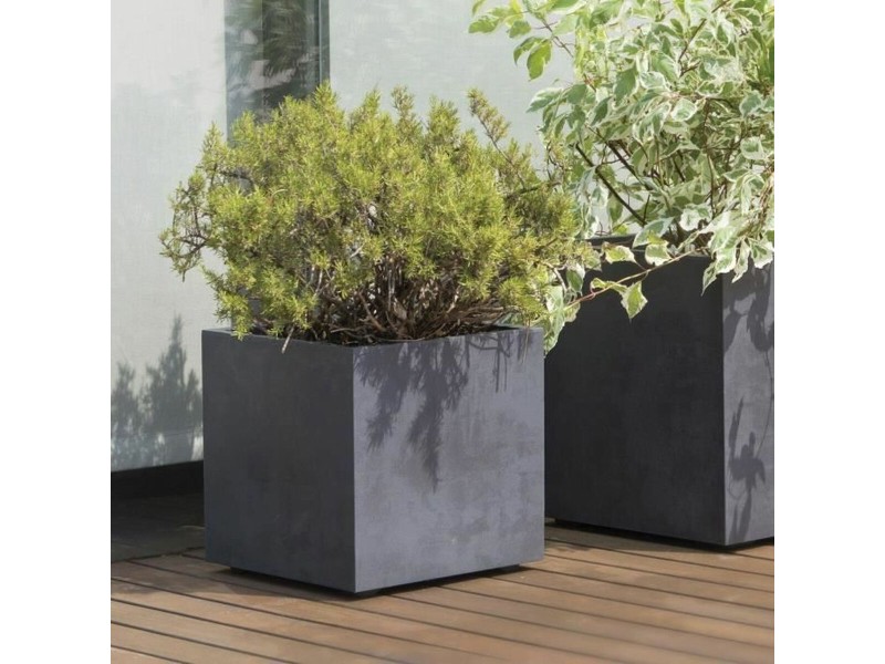 Саксия Deroma NaN –  BB Саксии