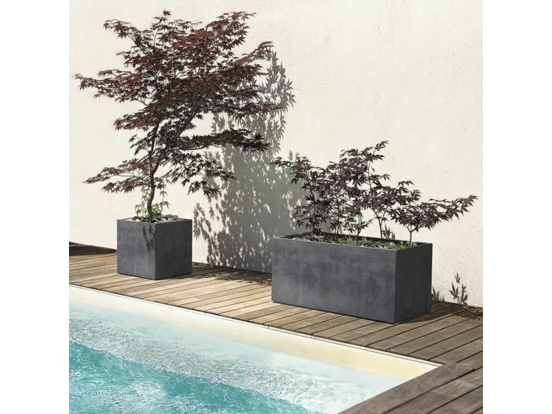 Саксия Deroma NaN –  BB Саксии