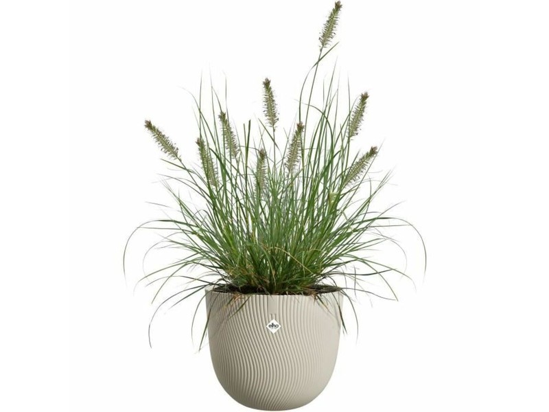 Саксия Elho Бежов 30 x 29,5 x 25 cm NaN –  BB Саксии