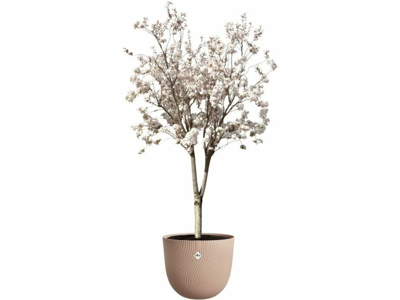 Саксия Elho NaN –  BB Саксии