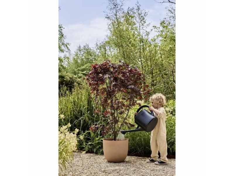 Саксия Elho NaN –  BB Саксии