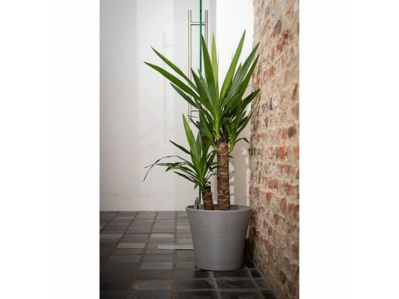 Саксия за самостоятелно поливане Garden ID Сив 40 cm NaN –  BB Саксии