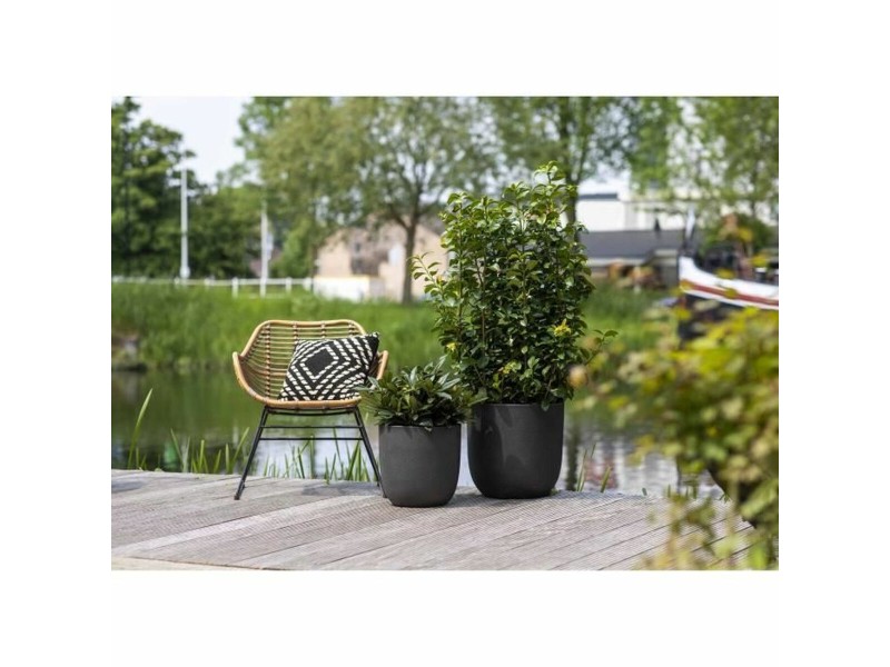 Саксия Capi Europe Черен Пластмаса Овален Ø 43 cm NaN –  BB Саксии