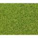 Изкуствена трева Exelgreen Campus 2D 1 x 5 m 25 mm NaN –  BB Трева