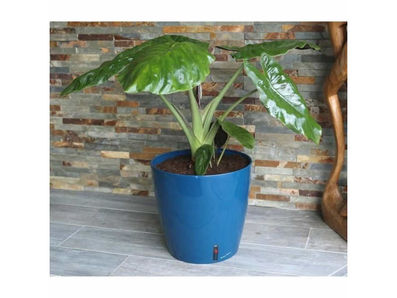 Саксия Riss RIV3580796331061 Ø 30 cm NaN –  BB Саксии