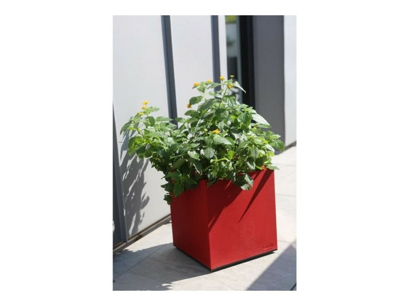 Саксия Riviera Червен Пластмаса Квадратек 40 x 40 cm NaN –  BB Саксии