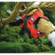 Презареждаща се литиева батерия Black & Decker Scorpion Autoselect 230 V NaN от | techMAG.bg Презареждаща се литиева батерия Black & Decker Scorpion Autoselect 230 V NaN – BB Батерии