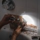 Акумулаторен LED фенер Nebo Torchy 2K 2000 Lm Компактен NaN –  BB Фенери