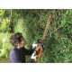 Тример за жив плет Black & Decker Power Command GTC18452PCB 45 cm 18 V NaN от | techMAG.bg Тример за жив плет Black & Decker Power Command GTC18452PCB 45 cm 18 V NaN – BB Тример за жив плет