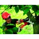 Моторен Трион Black & Decker Alligator GK1000 550 W (15 cm) NaN –  BB Верижни триони