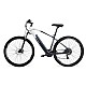 Електрически Велосипед Youin YOURIDE EVEREST2 250 W NaN –  BB Електрически тротинетки