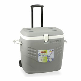 Преносима Твърда Хладилна Чанта Hidalgo Premium Сив 41 L