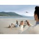 Дрон Dji NaN –  BB Дронове