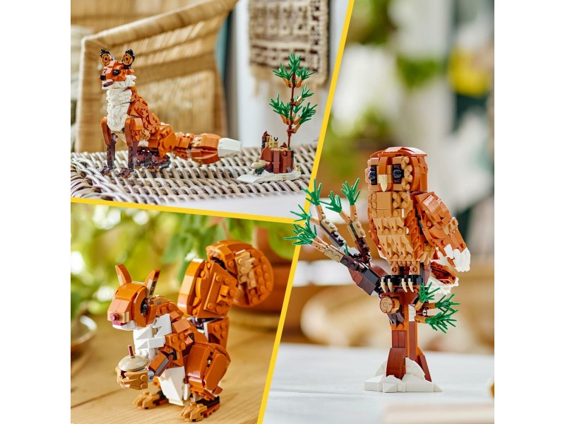 Строителна Игра Lego CREATOR 31154 Red Fox 667 Части NaN от | techMAG.bg Строителна Игра Lego CREATOR 31154 Red Fox 667 Части NaN – BB Изграждане на игри