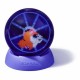 Виртуален домашен любимец BITZEE Hamsterball NaN –  BB Електронни домашни любимци