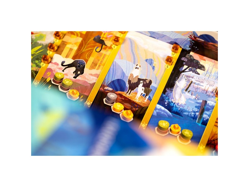 Настолна игра Asmodee NaN –  BB Игри с токени