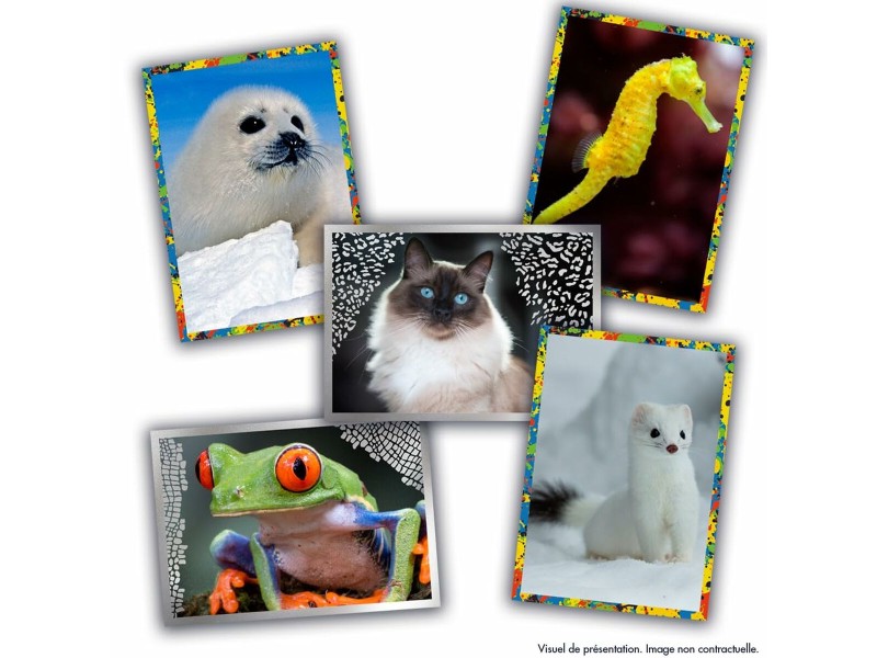 Хром пакет Panini Animaux NaN –  BB Стикери