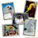 Хром пакет Panini Animaux NaN –  BB Стикери