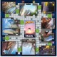 Настолна игра Winning Moves NaN –  BB Игри с токени