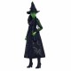 Кукла Mattel Elphaba NaN –  BB Модни кукли