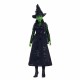 Кукла Mattel Elphaba NaN –  BB Модни кукли