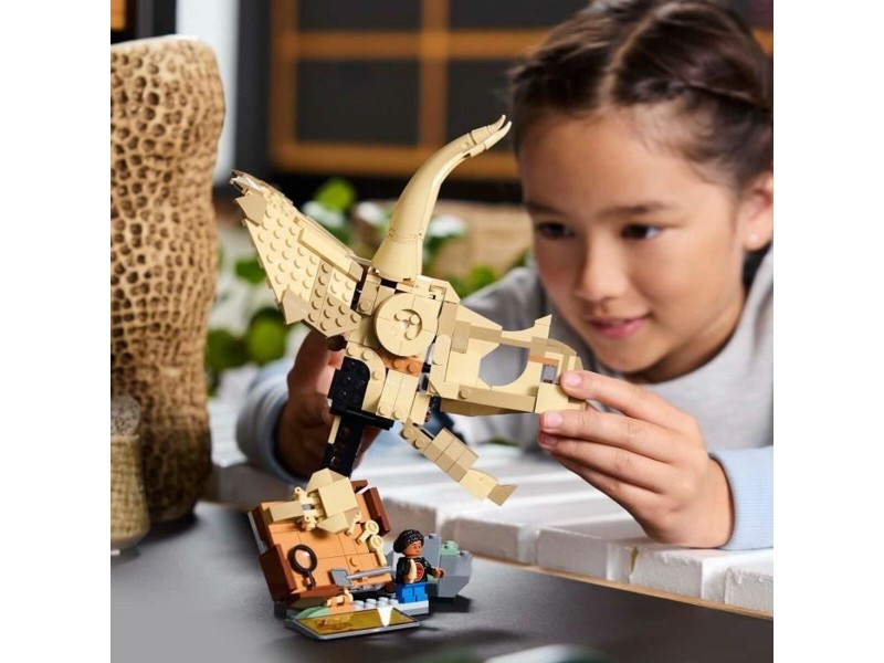 Строителна Игра Lego 76969 NaN –  BB Изграждане на игри