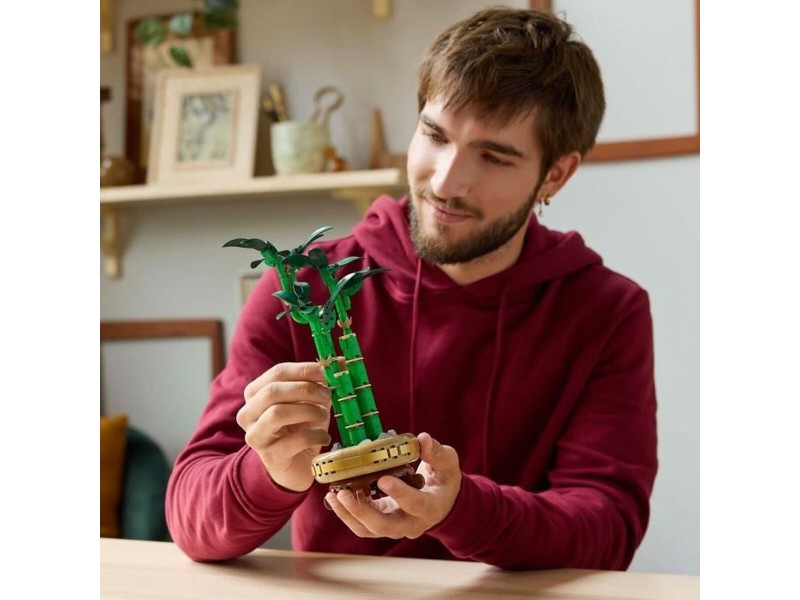Строителна Игра Lego 10344 NaN –  BB Изграждане на игри