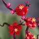 Строителна Игра Lego 10369 Plum Blossom Многоцветен NaN –  BB Изграждане на игри