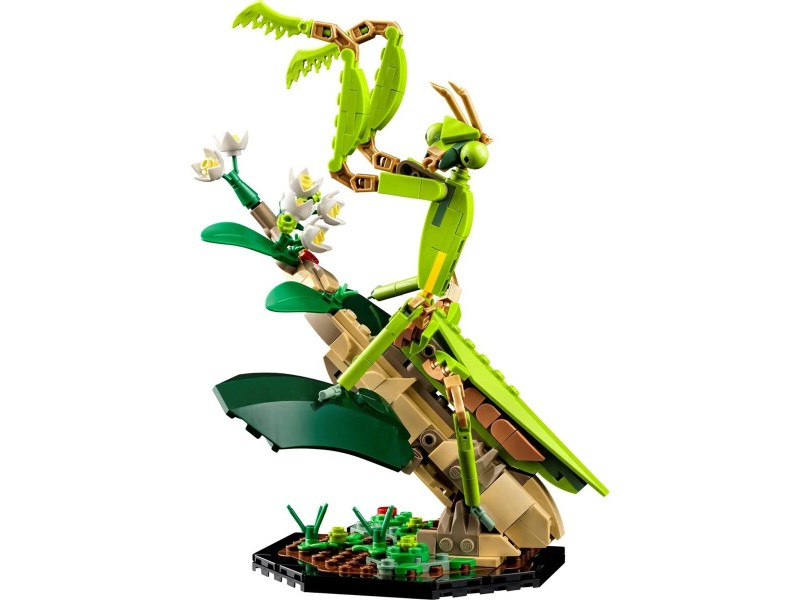 Строителна Игра Lego Colección de insectos NaN –  BB Изграждане на игри