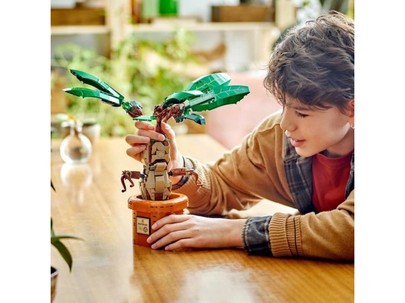Строителна Игра Lego Harry Potter Многоцветен NaN –  BB Изграждане на игри